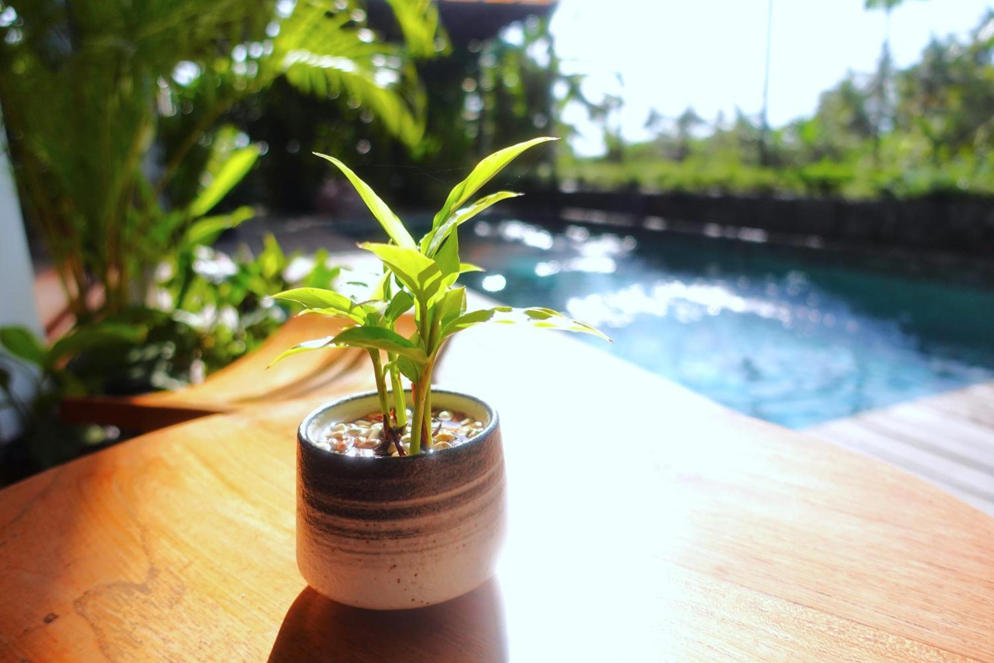 The Vinaya Boutique Hotel Ubud Exterior foto
